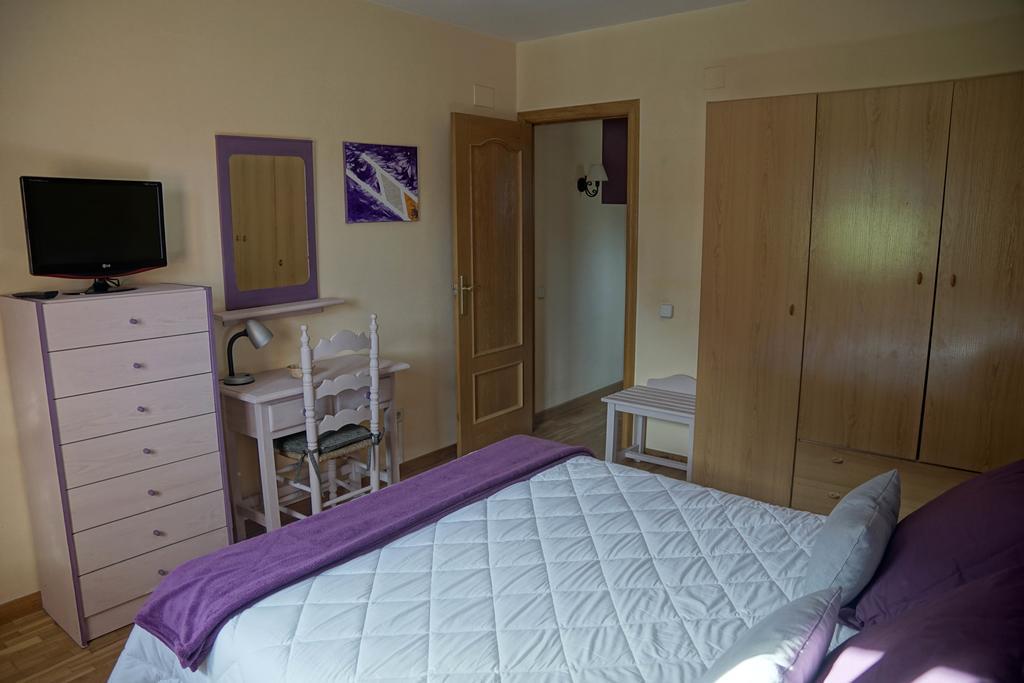 Apartaments El Ribal Valencia D'Aneu Екстер'єр фото
