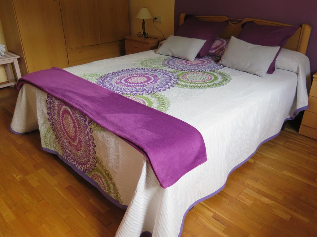Apartaments El Ribal Valencia D'Aneu Екстер'єр фото